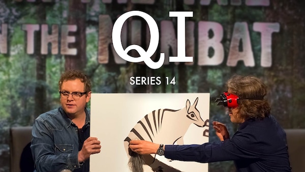 QI