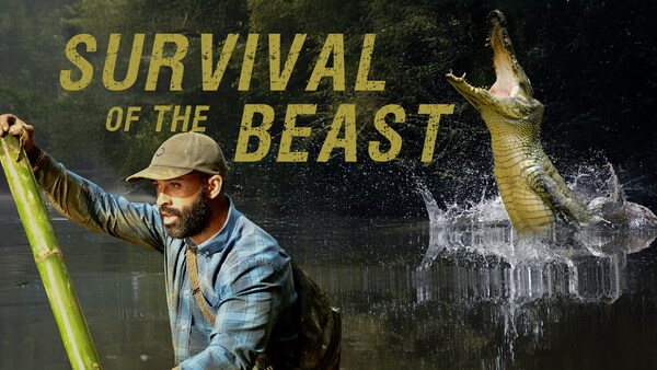 Beistets overlevelse