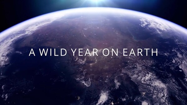 Et vilt år på Jorden