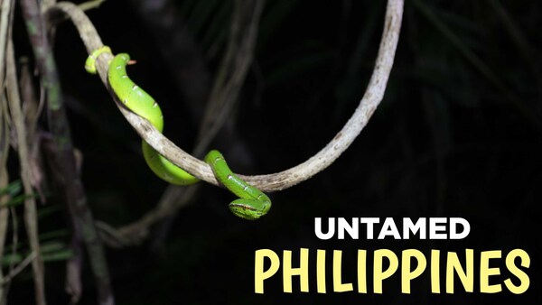 Utemmede Filippinene