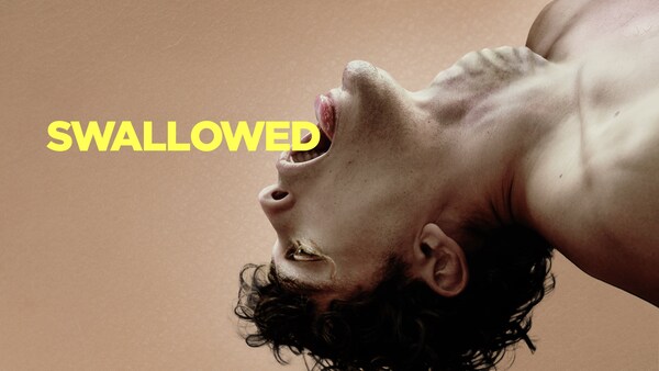 Swallowed