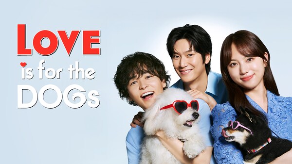 Love is for the Dogs